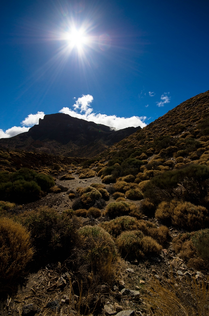 Teneriffa DSC 3948