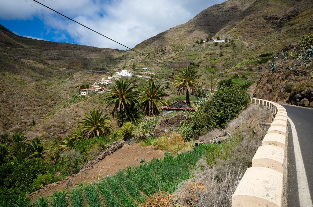 Teneriffa DSC 3993