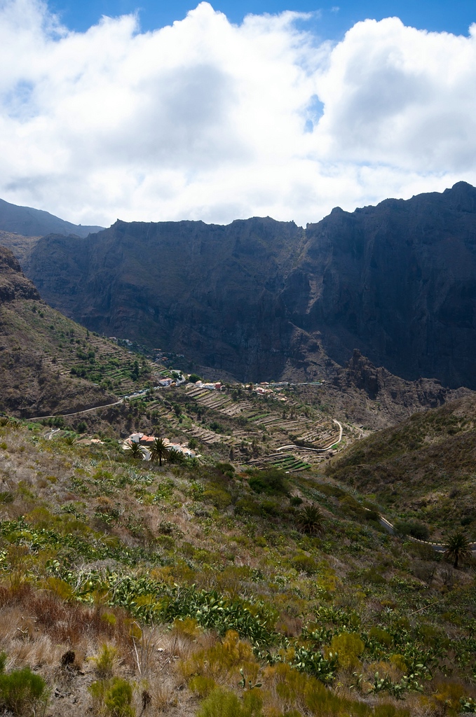 Teneriffa DSC 3996