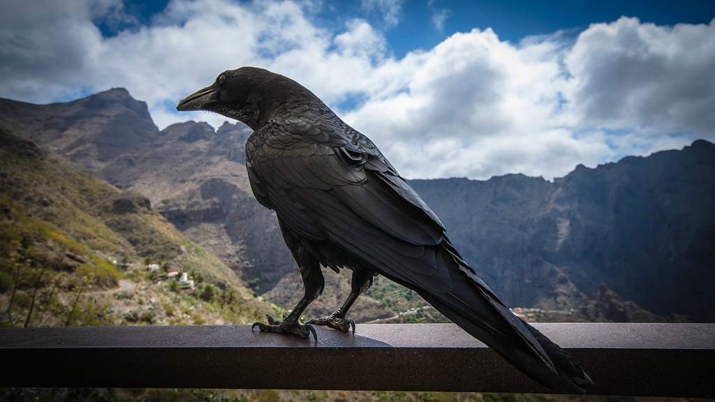 Teneriffa DSC 4001