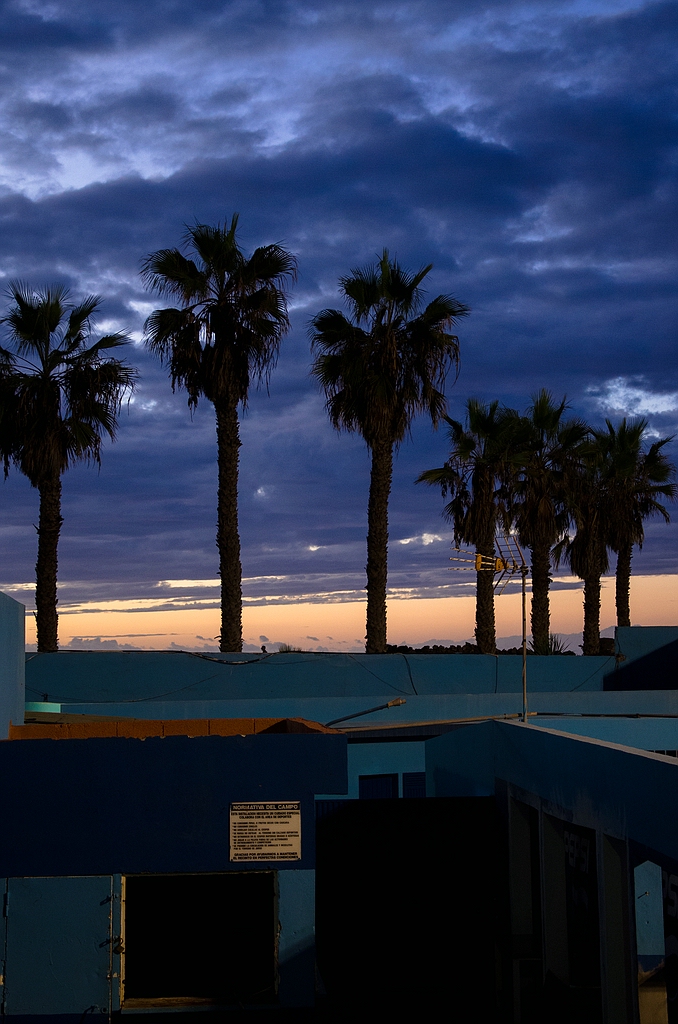 Teneriffa DSC 4566