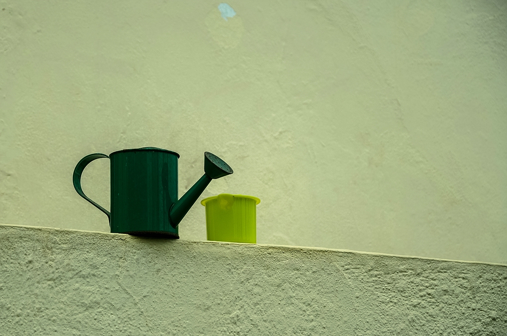 Teneriffa DSC 4582