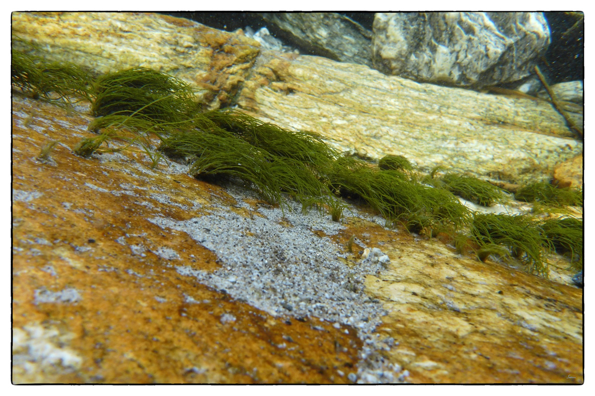 Tessin4