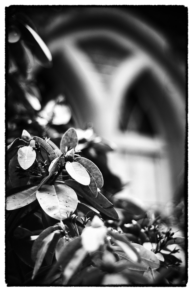 test 50 mm 1 6