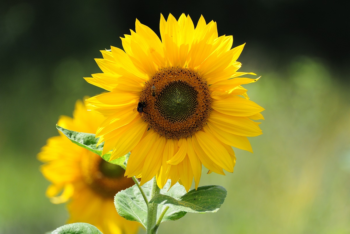 Test 70 300 16.7.2014 112