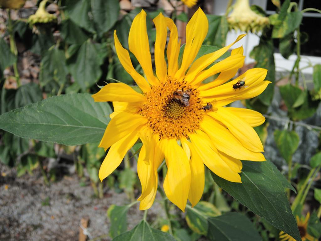 Test P330DSCN0005 10679