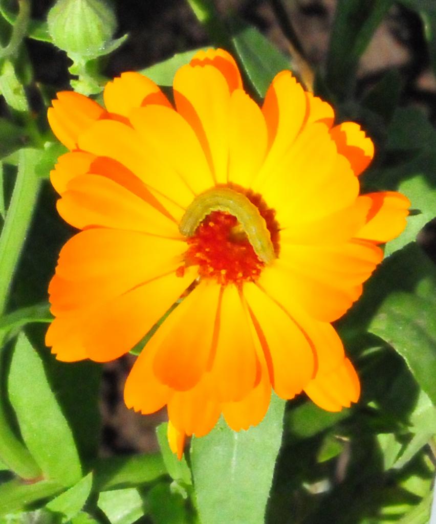 Test0010a