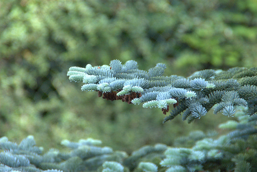 test1