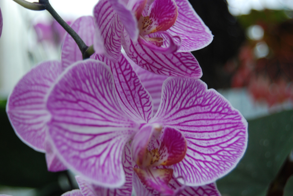test2