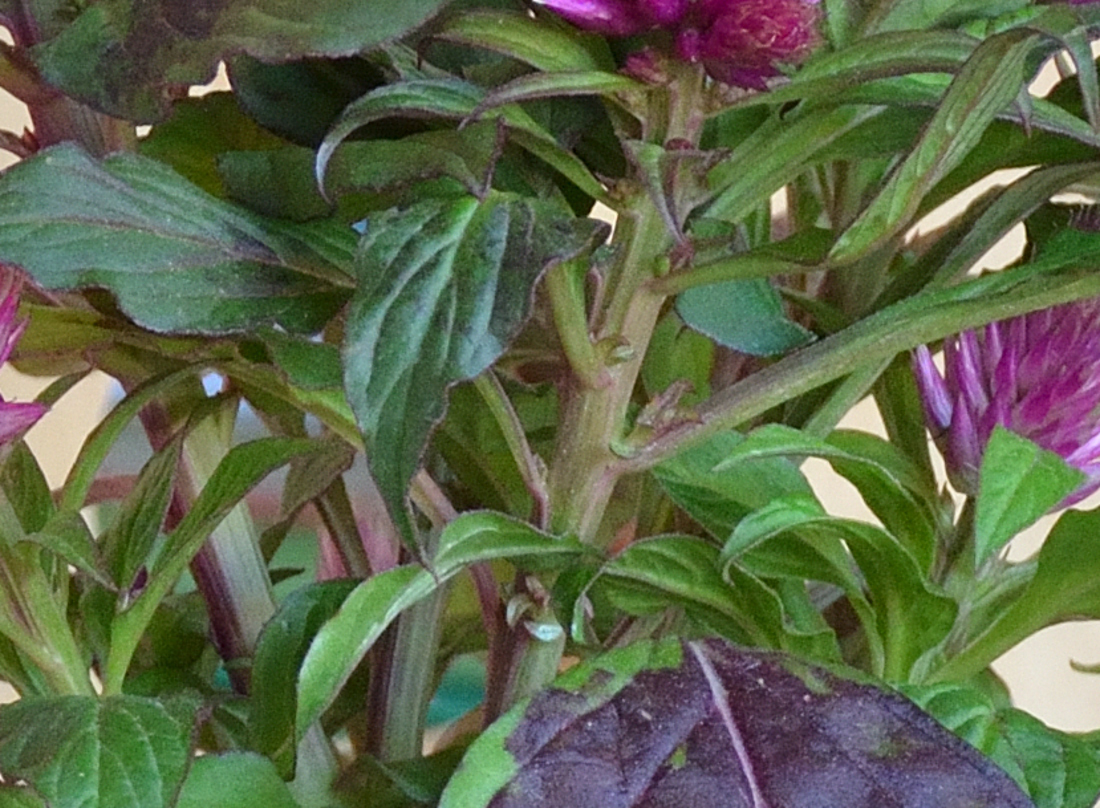 test4 (1) 18 140 MF
