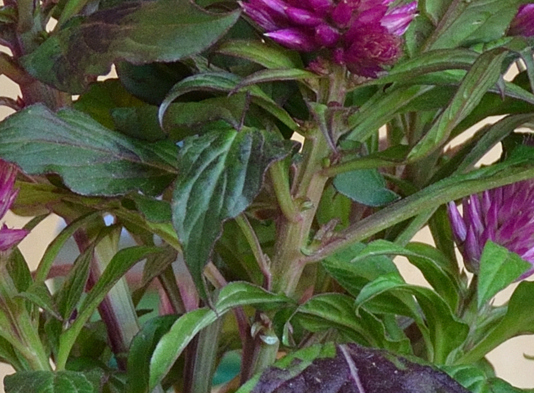 test4 (2) 18 140 AF