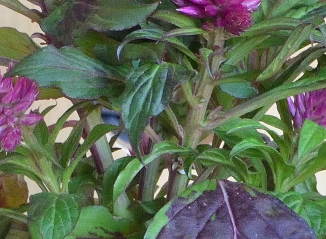 test5 (2) 18 55 AF