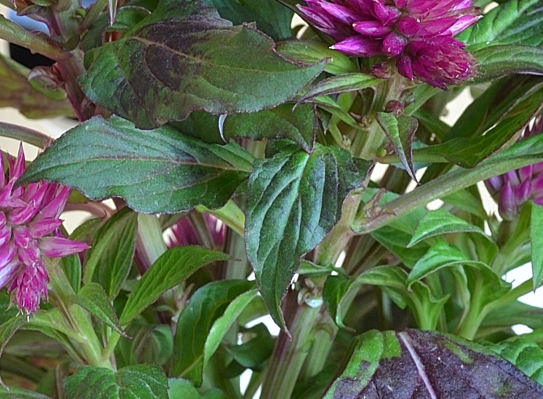 test9 (2) MF