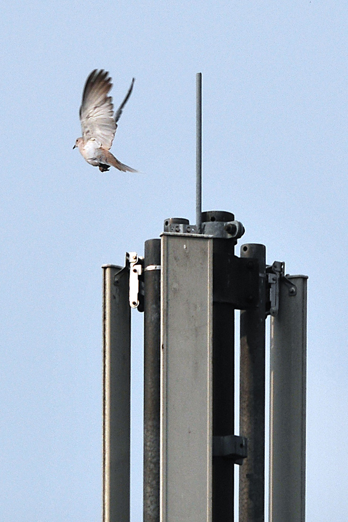 Testaufnahme MHX 3594Ax
