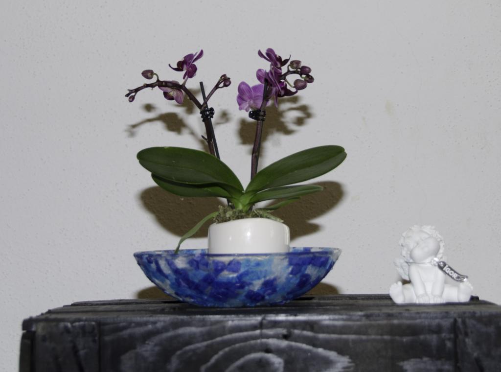 testbild2