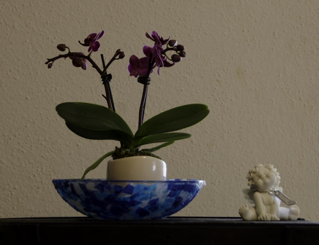 testbild3