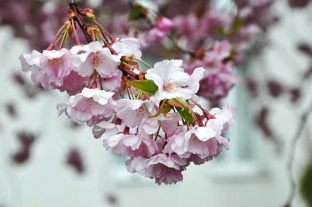 Testbilder 002