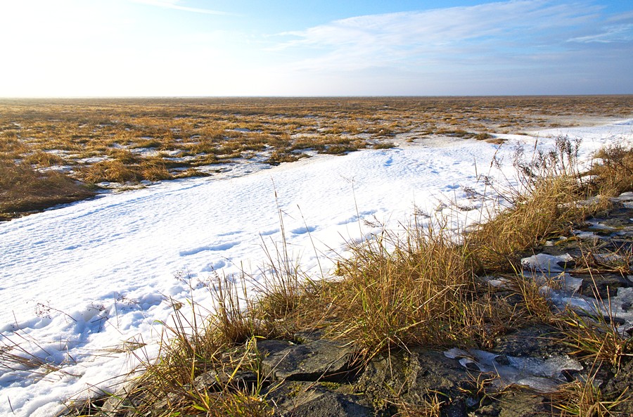 Testfoto RAW