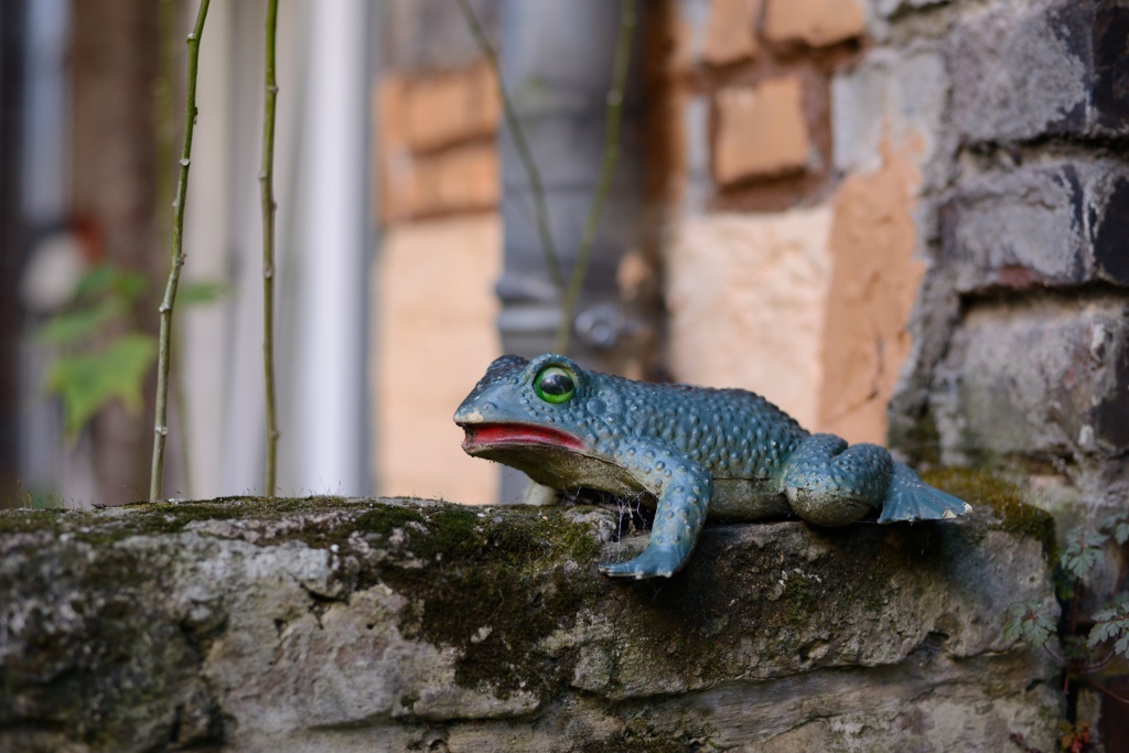 Testfrosch