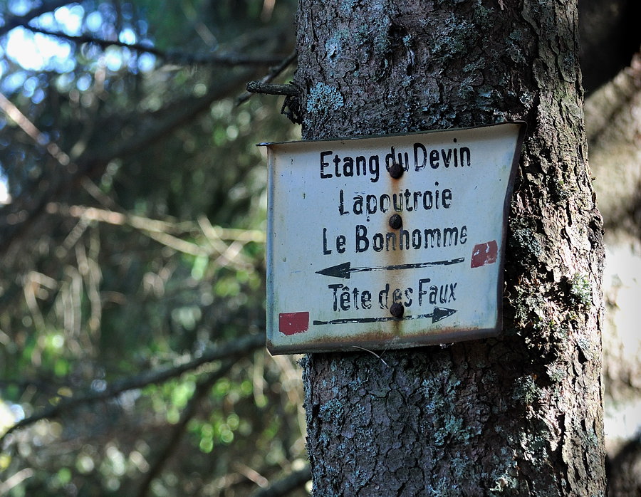 Tete 01