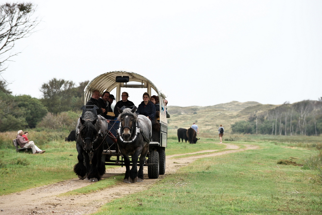 Texel 2021-004.jpg