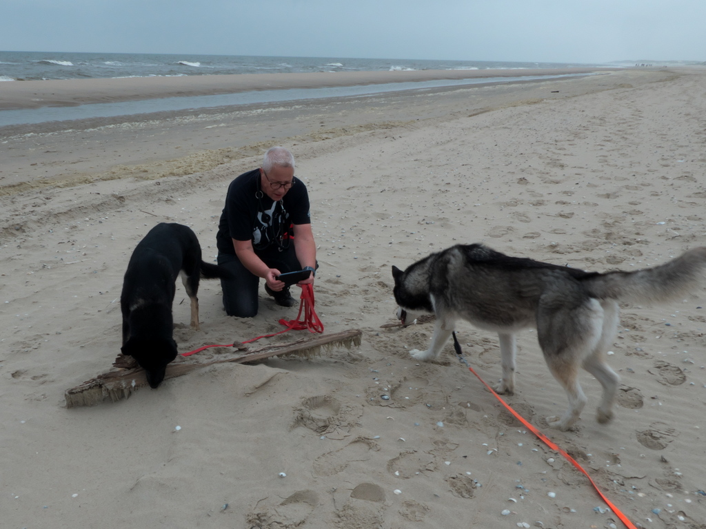 Texel 2021-005.jpg