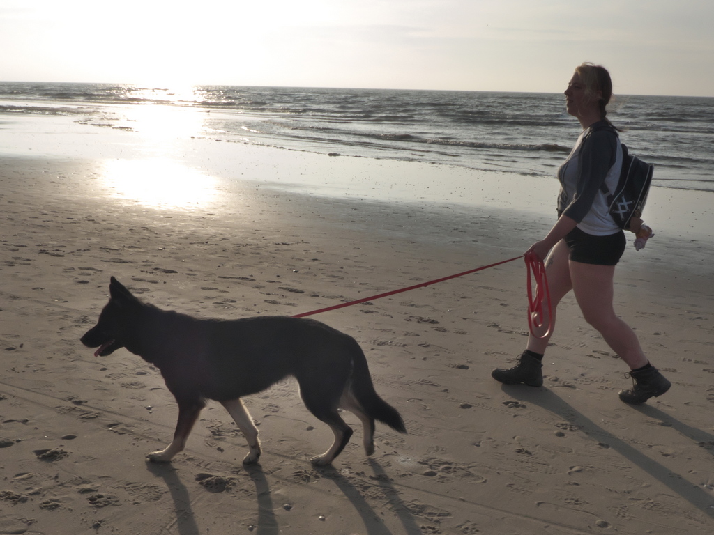 Texel 2021-007.jpg