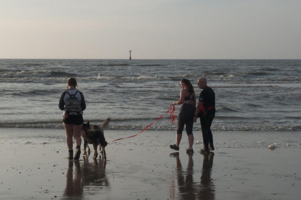Texel 2021-008.jpg