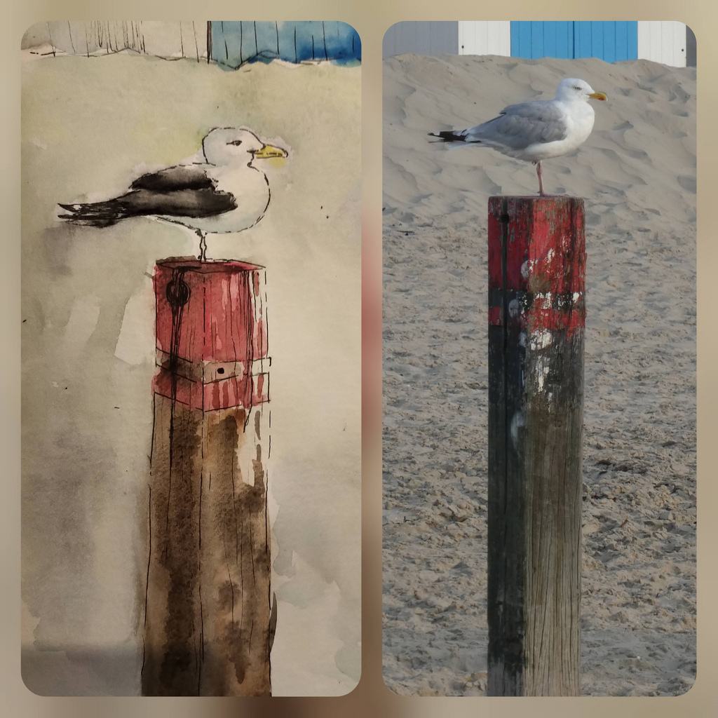 Texel 2021-011.jpg