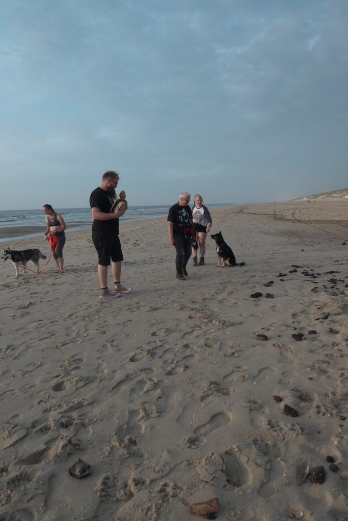 Texel 2021-012.jpg