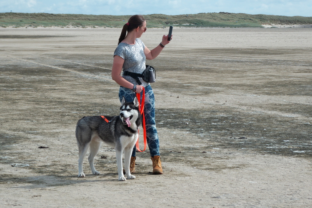 Texel 2021-015.jpg