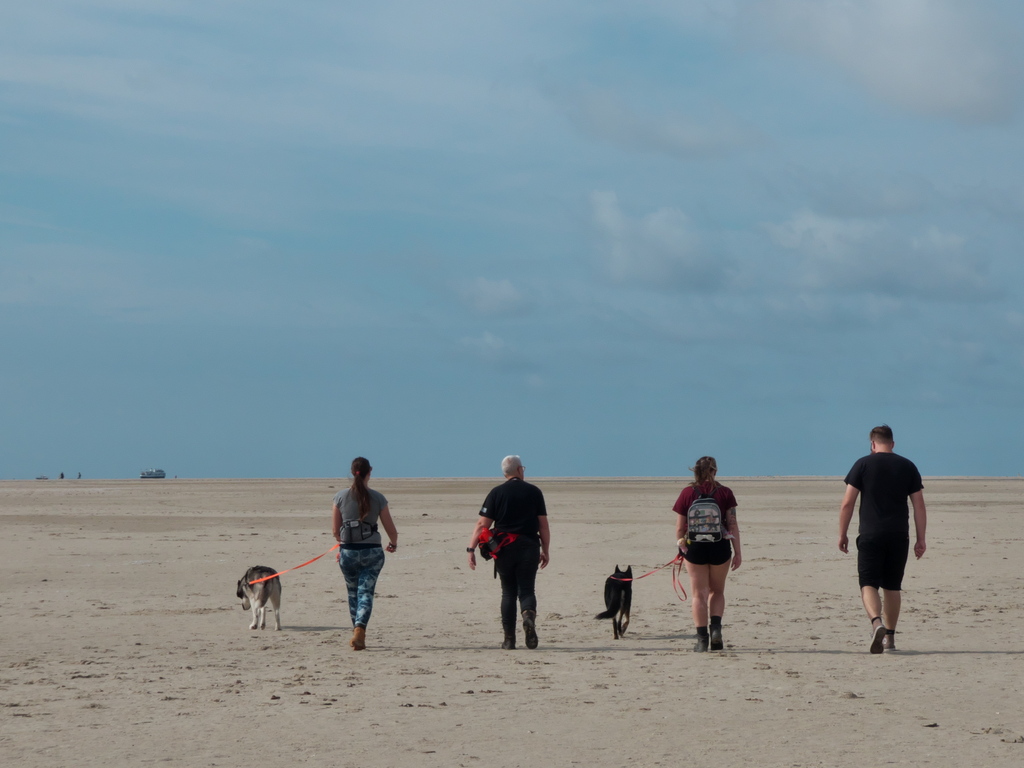 Texel 2021-016.jpg