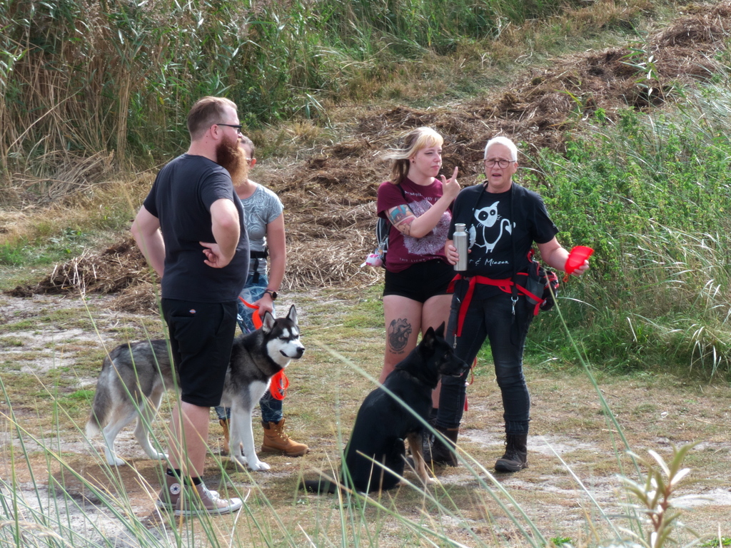 Texel 2021-017.jpg