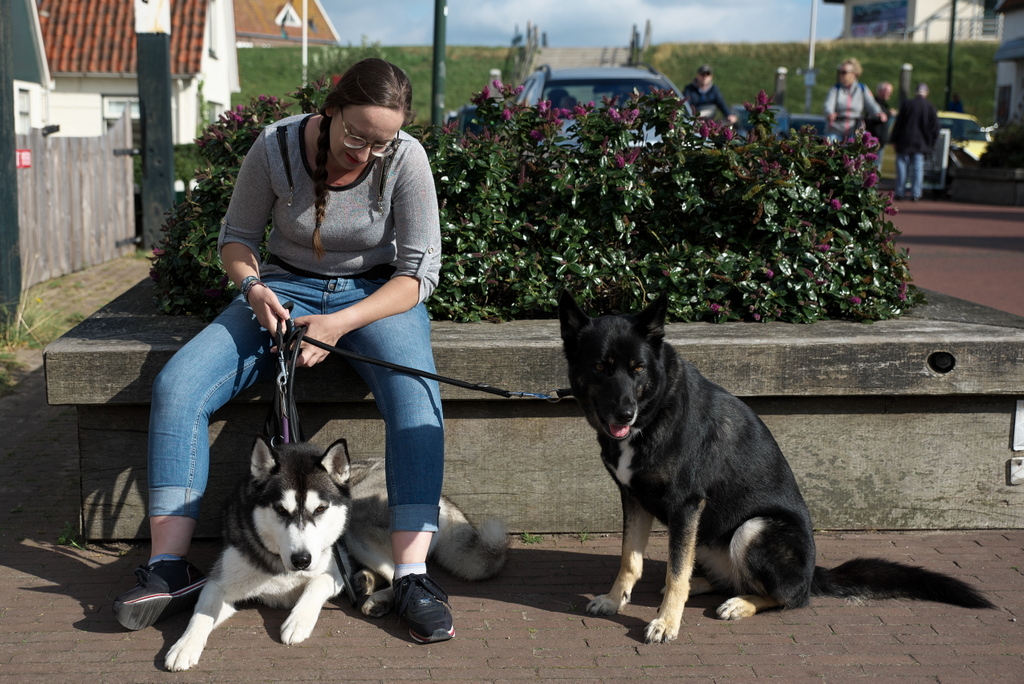 Texel 2021-063.jpg