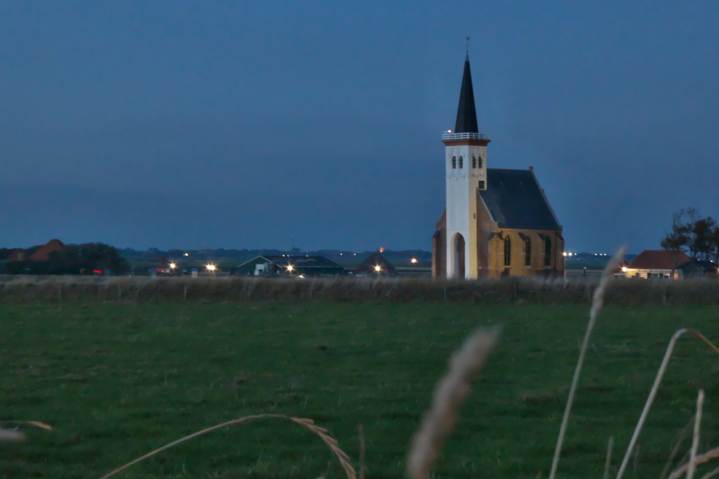Texel 2021-065.jpg