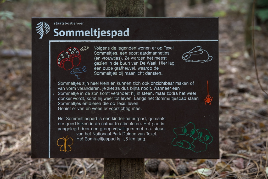 Texel 2021-069.jpg