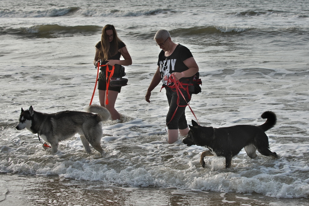 Texel 2021-078.jpg