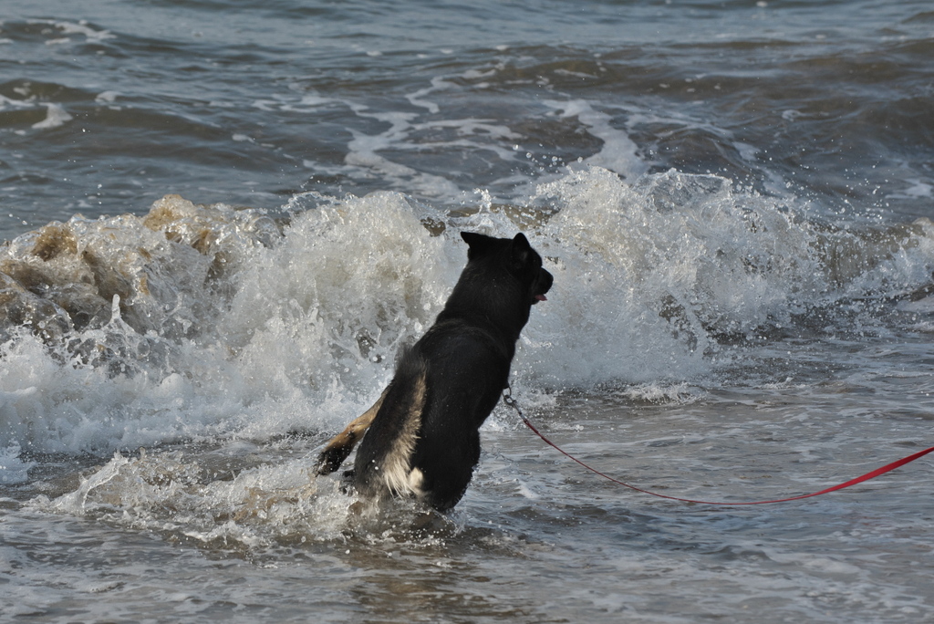 Texel 2021-080.jpg