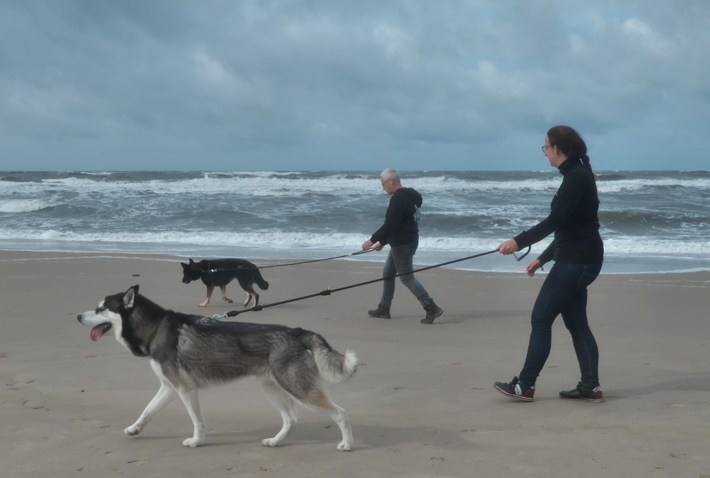 Texel 2021-146.jpg
