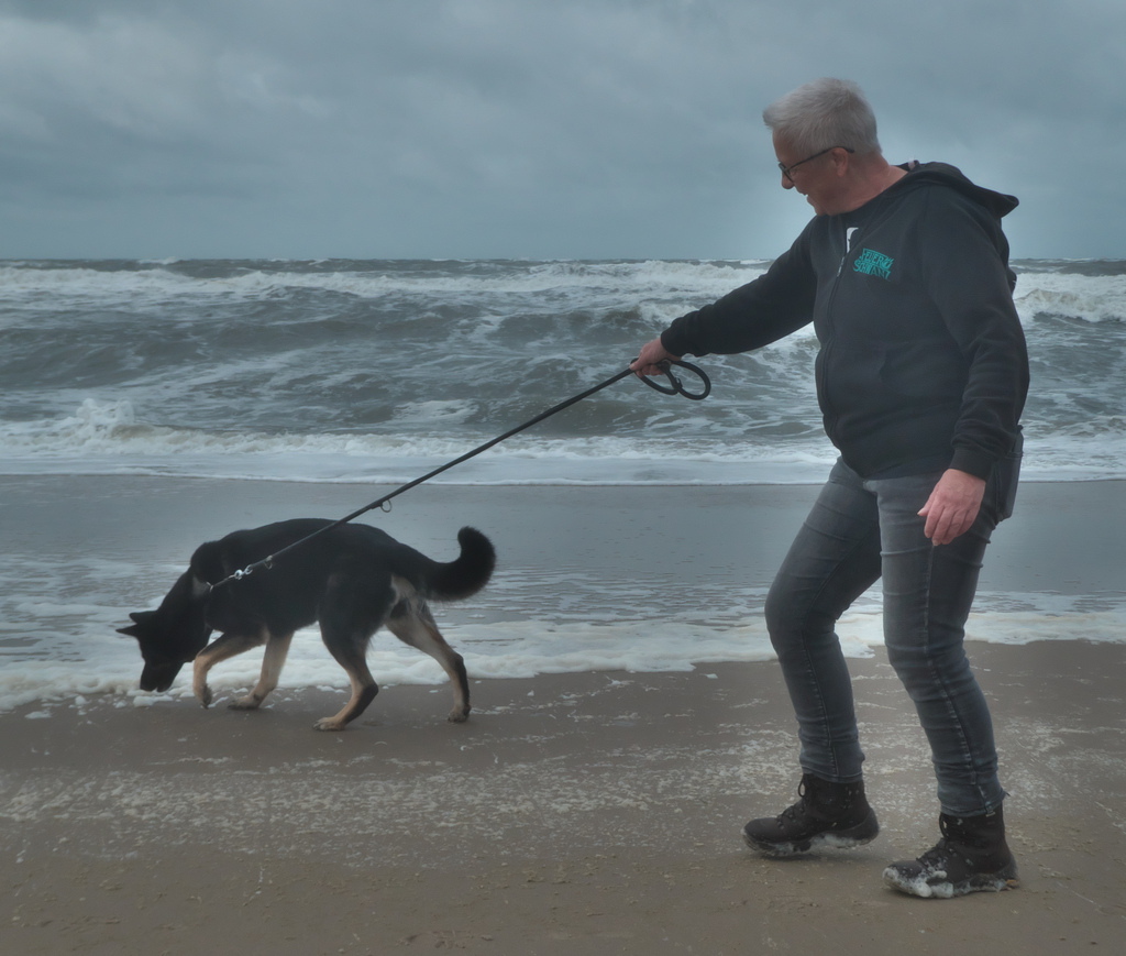 Texel 2021-147.jpg