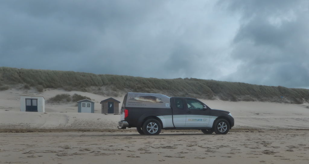Texel 2021-148.jpg