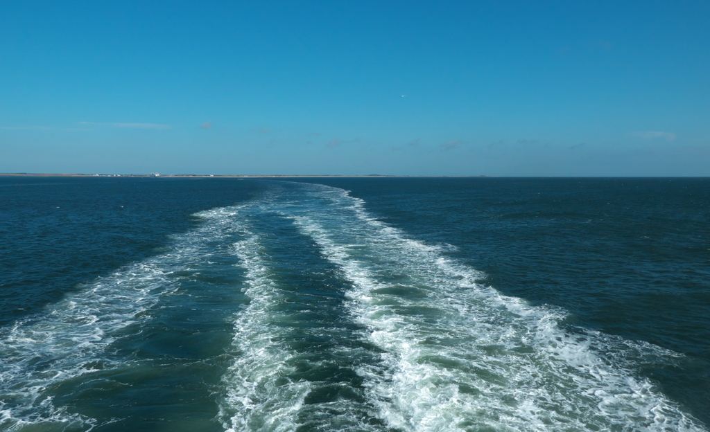 Texel 2021-151.jpg