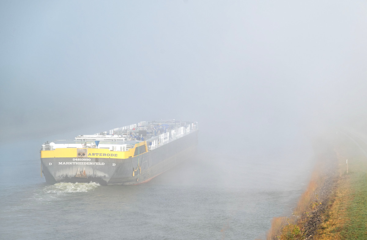 The Fog 1.jpg