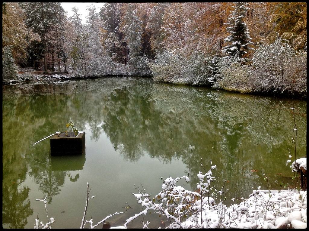 The Lake