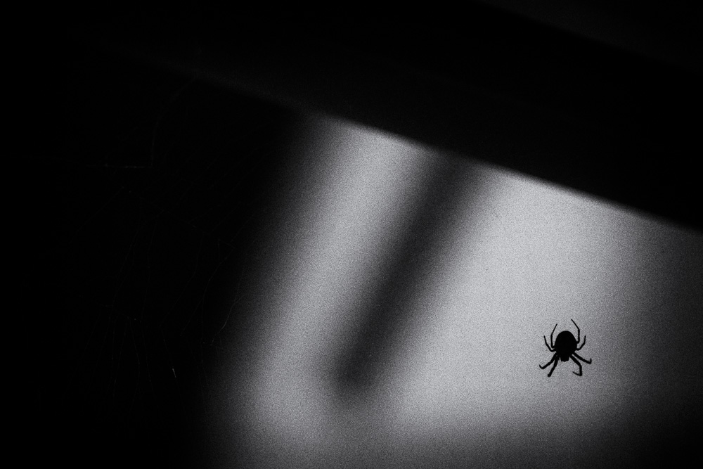 The Lurking Horror