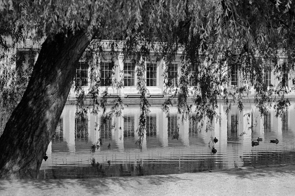 The Mansion