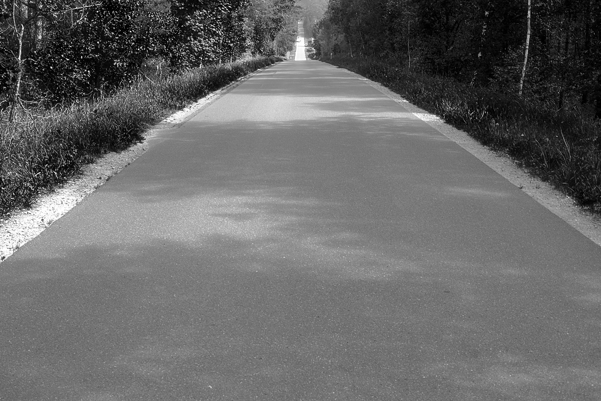 The Road goes ever on.jpg