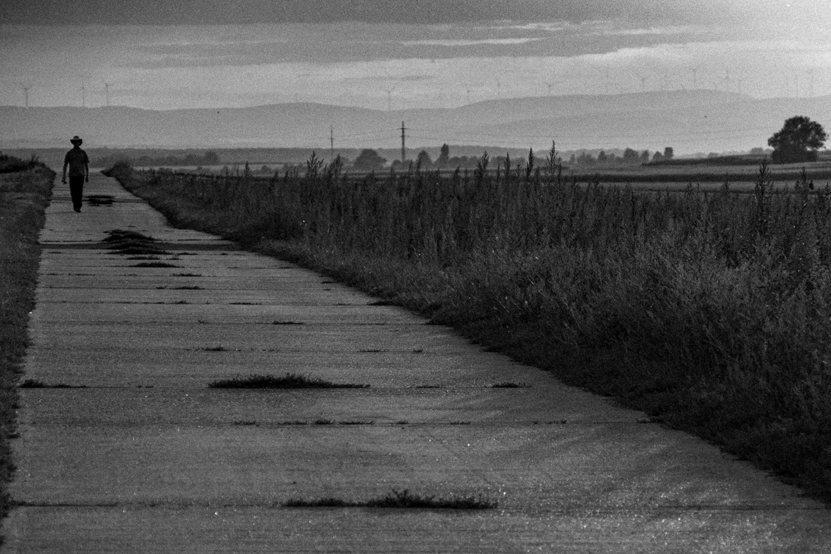 The Stranger