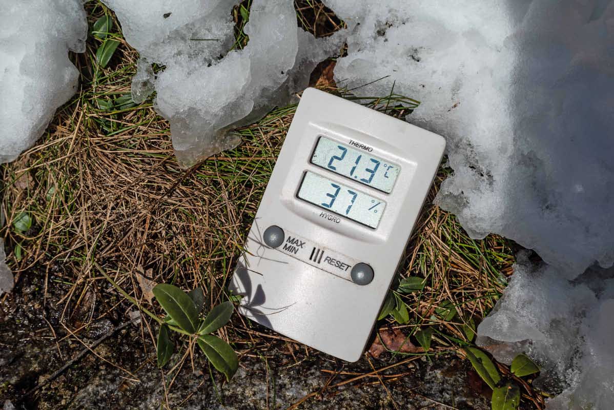 Thermometer.jpg