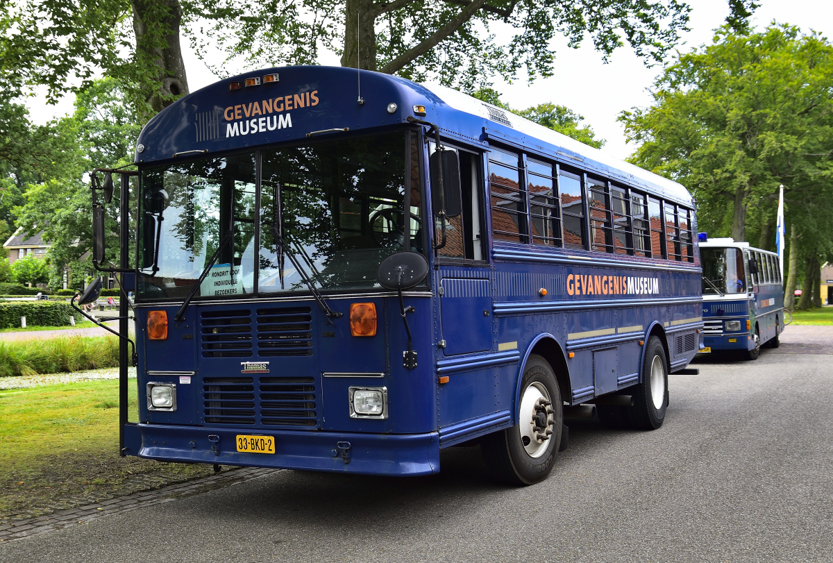 Thomas Built Buses